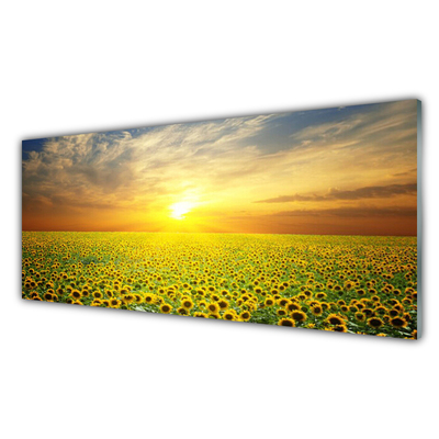 Kitchen Splashback Sun meadow sunflowers nature yellow brown green