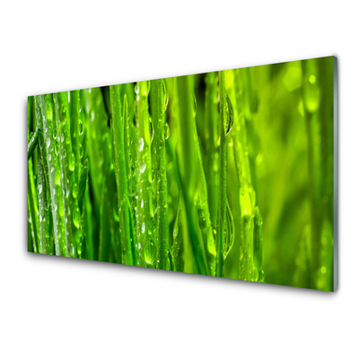 Kitchen Splashback Grass nature green