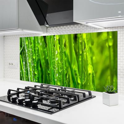 Kitchen Splashback Grass nature green