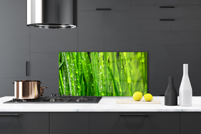 Kitchen Splashback Grass nature green