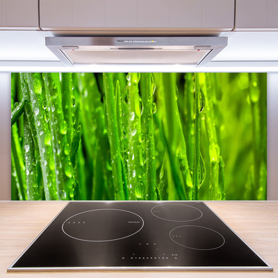 Kitchen Splashback Grass nature green