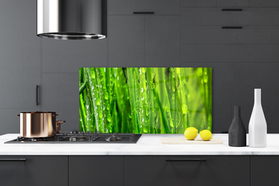 Kitchen Splashback Grass nature green