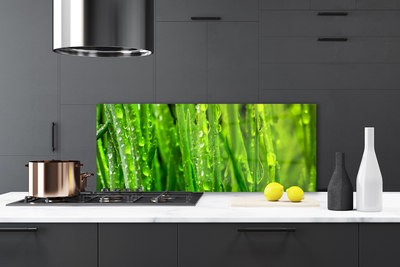 Kitchen Splashback Grass nature green