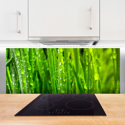 Kitchen Splashback Grass nature green