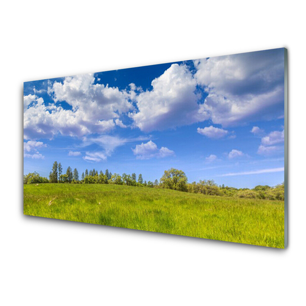 Kitchen Splashback Meadow grass landscape green