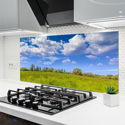 Kitchen Splashback Meadow grass landscape green