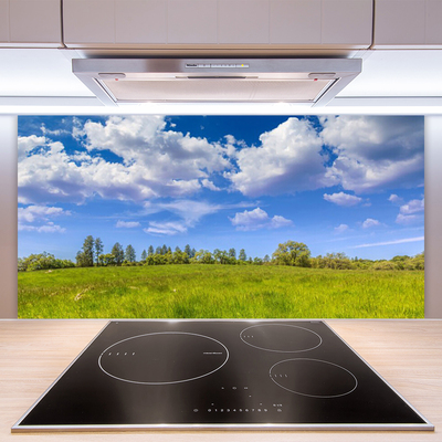 Kitchen Splashback Meadow grass landscape green