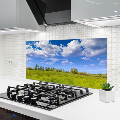 Kitchen Splashback Meadow grass landscape green