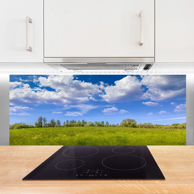 Kitchen Splashback Meadow grass landscape green