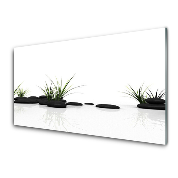 Kitchen Splashback Grass stones art black green