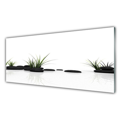 Kitchen Splashback Grass stones art black green