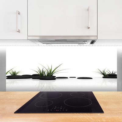 Kitchen Splashback Grass stones art black green