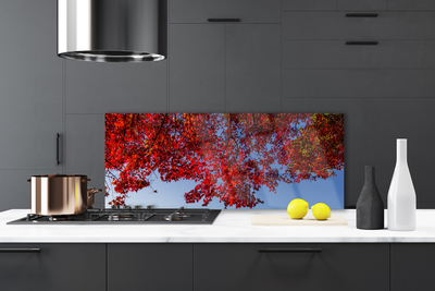 Kitchen Splashback Branches leaves floral brown