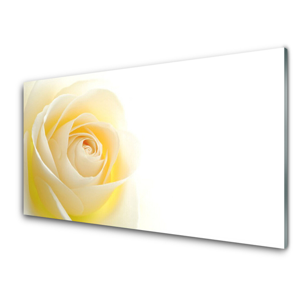 Kitchen Splashback Rose floral white yellow