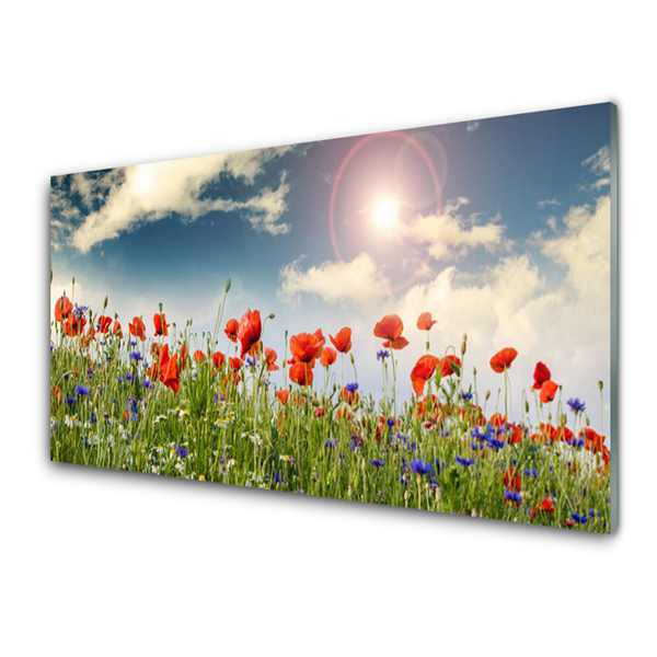 Kitchen Splashback Meadow flowers nature green red purple white