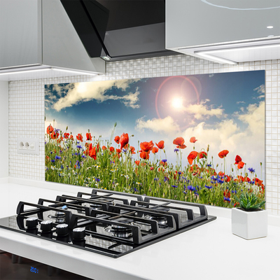 Kitchen Splashback Meadow flowers nature green red purple white