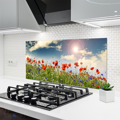 Kitchen Splashback Meadow flowers nature green red purple white