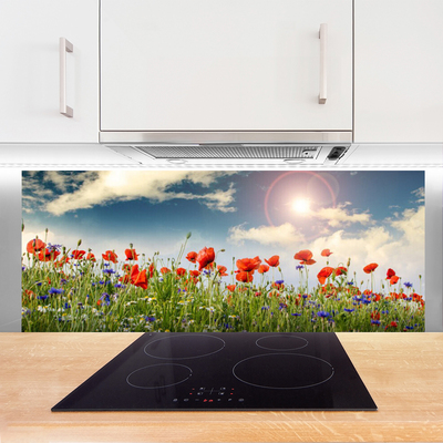 Kitchen Splashback Meadow flowers nature green red purple white