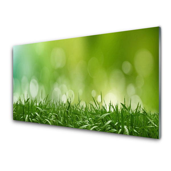 Kitchen Splashback Weed nature green