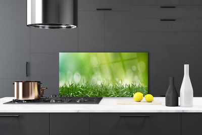 Kitchen Splashback Weed nature green