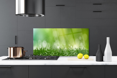 Kitchen Splashback Weed nature green