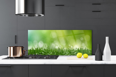 Kitchen Splashback Weed nature green