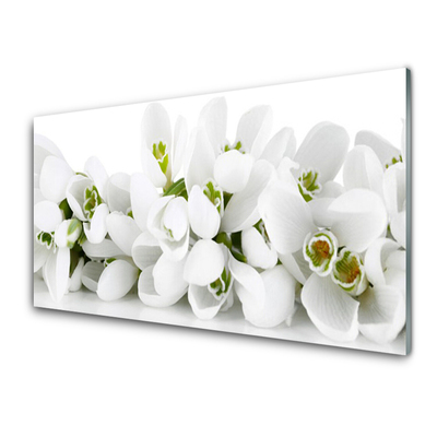 Kitchen Splashback Flowers floral white green