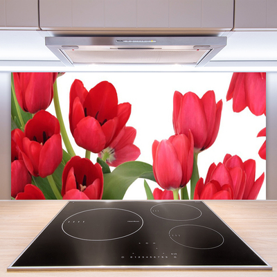 Kitchen Splashback Tulips floral red