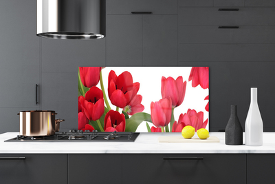 Kitchen Splashback Tulips floral red