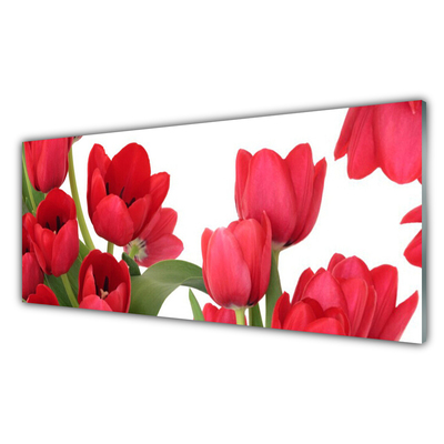Kitchen Splashback Tulips floral red