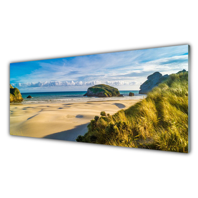 Kitchen Splashback Beach rocks landscape brown grey green