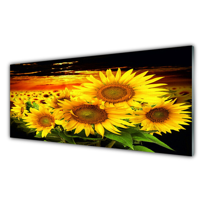Kitchen Splashback Sunflowers floral yellow brown