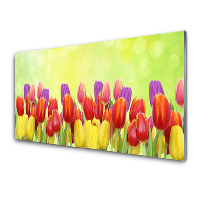 Kitchen Splashback Tulips floral yellow red pink