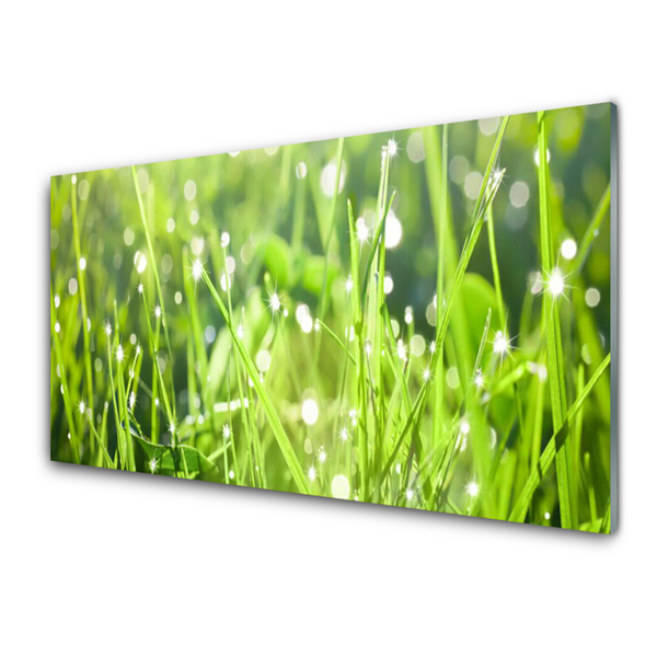 Kitchen Splashback Grass nature green