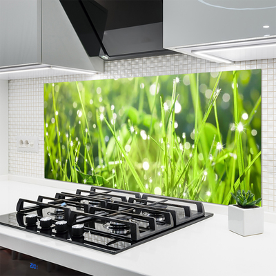 Kitchen Splashback Grass nature green