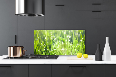 Kitchen Splashback Grass nature green