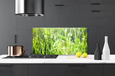 Kitchen Splashback Grass nature green