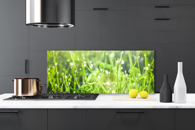 Kitchen Splashback Grass nature green