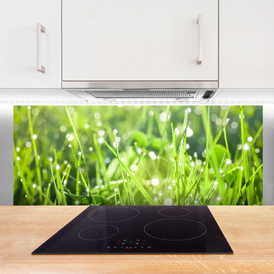 Kitchen Splashback Grass nature green