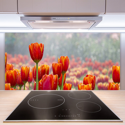 Kitchen Splashback Tulips floral red