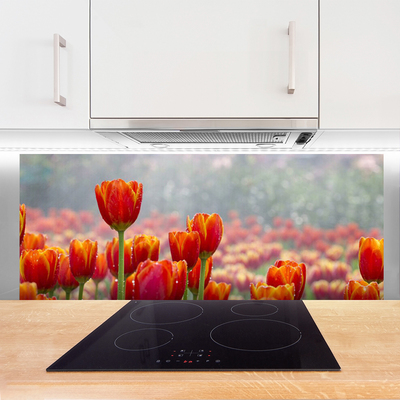 Kitchen Splashback Tulips floral red