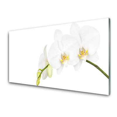 Kitchen Splashback Flowers floral white
