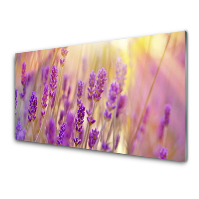 Kitchen Splashback Flowers floral pink