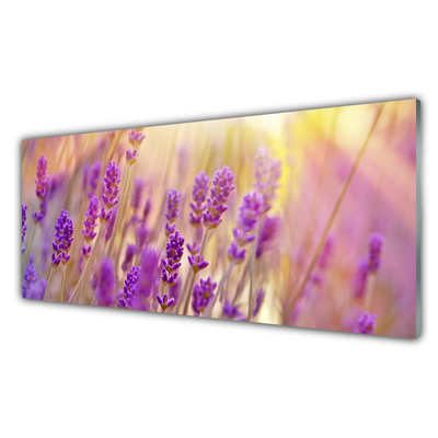 Kitchen Splashback Flowers floral pink