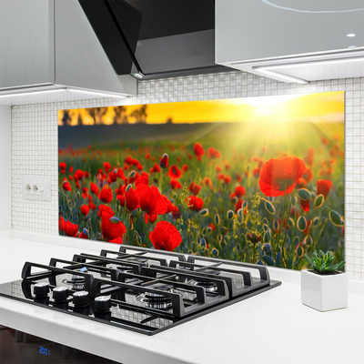 Kitchen Splashback Meadow flowers nature red green