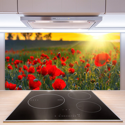 Kitchen Splashback Meadow flowers nature red green