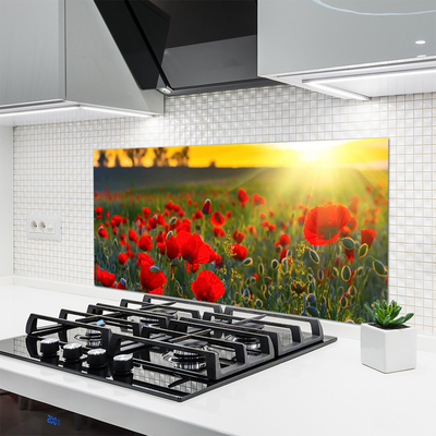 Kitchen Splashback Meadow flowers nature red green