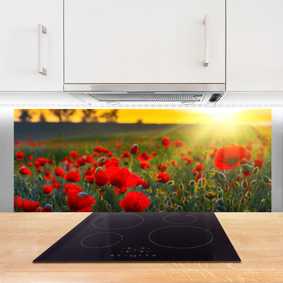 Kitchen Splashback Meadow flowers nature red green