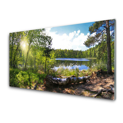 Kitchen Splashback Forest lake nature brown green