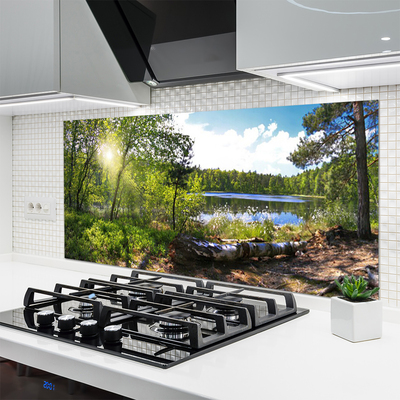 Kitchen Splashback Forest lake nature brown green